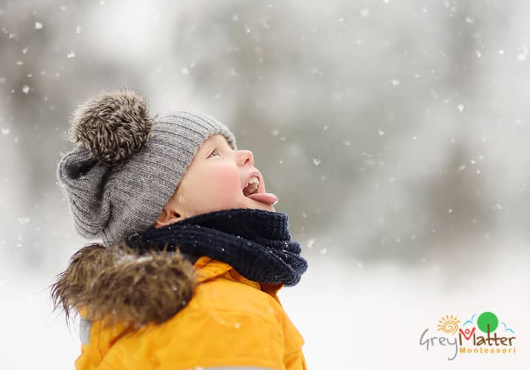 Grey Matter Montessori - Blog - Montessori Inspired Winter Play Activities