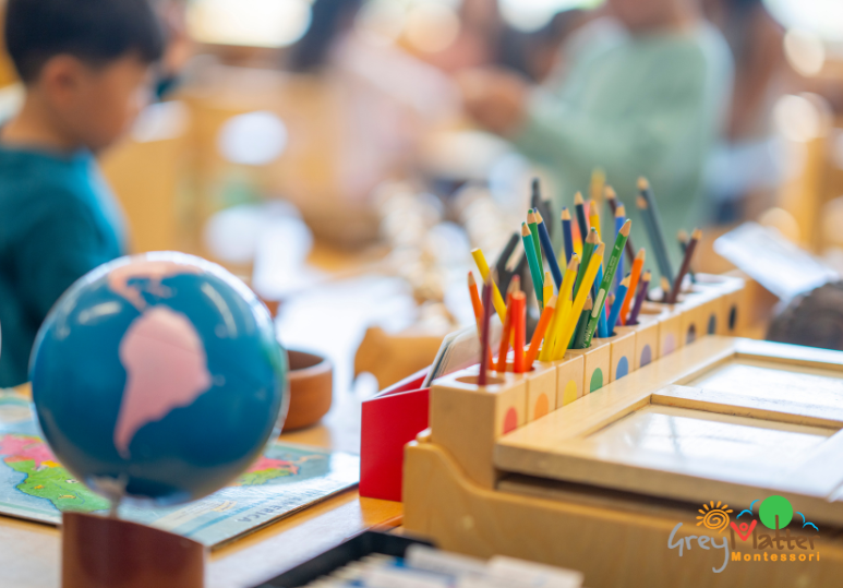 Montessori for Toddlers: Why Starting at 19 Months Makes a Difference