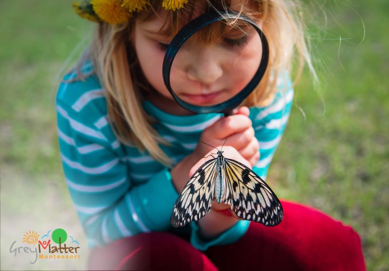 How Montessori Programs Support Social and Emotional Growth – Montessori Calgary
